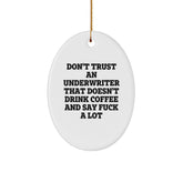 Funny Underwriter Gifts from Men to Friends, Oval Ornament for Underwriter, Christmas Unique Gifts with Quote 'Don't Trust An Underwriter That Doesn't Drink Coffee And Say F--k A Lot' - Image 1